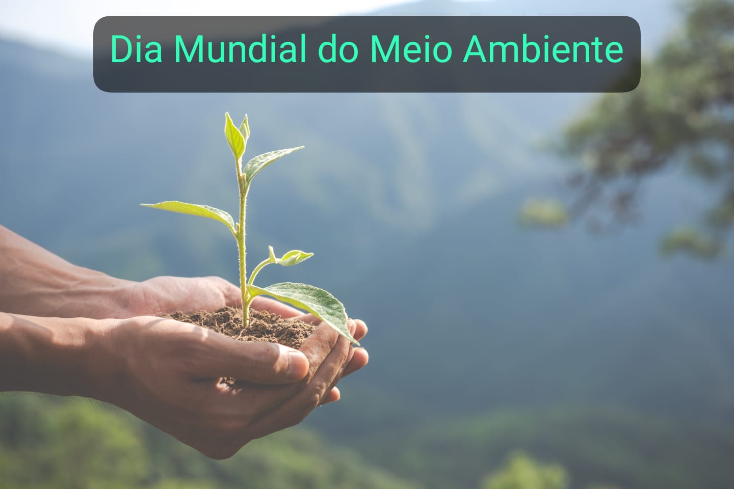 Dia Mundial do Meio Ambiente (junho 2023)